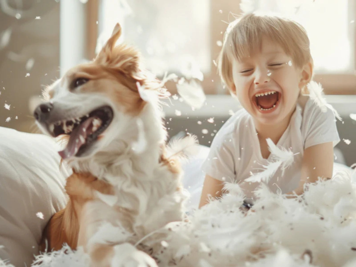 Qualitätsmerkmale für Bettdecken und Kopfkissen