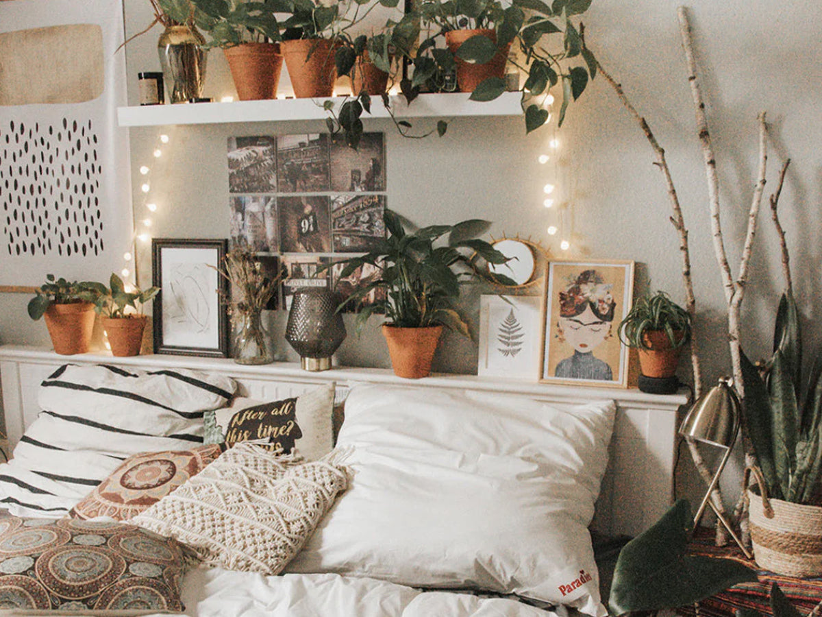 Tipp: Pflanzen im Schlafzimmer