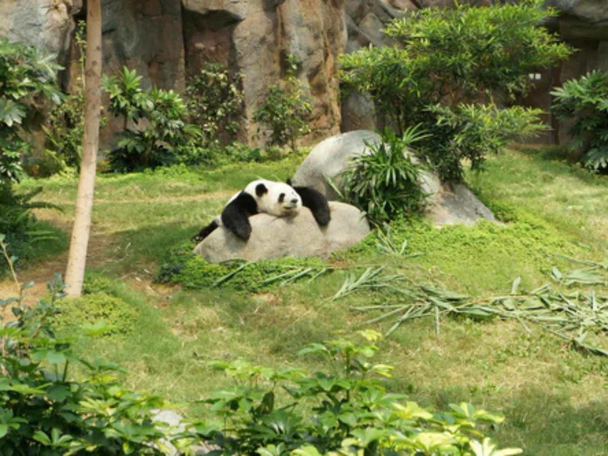 Winterschlaf - Träumerei oder auch für dich möglich?