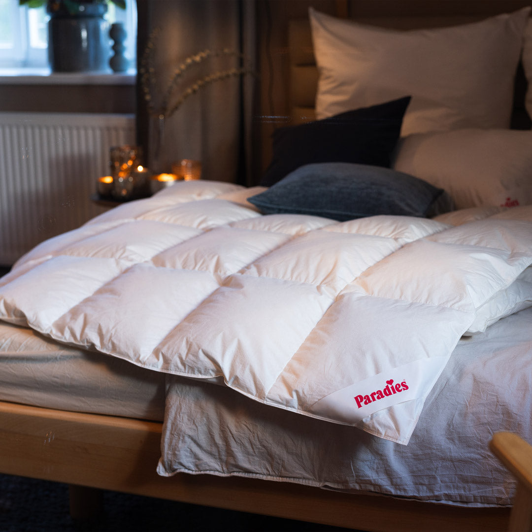 Gabi 90 · Daunendecke · Ganzjahresdecke