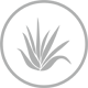Aloe Vera Gewebeveredelung