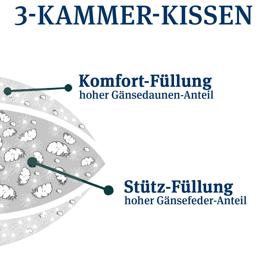 3-Kammer Daunenkissen · Abbie fest Bio